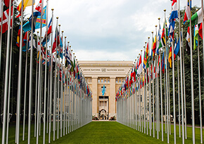 ICAAD at the UN 2016-2020