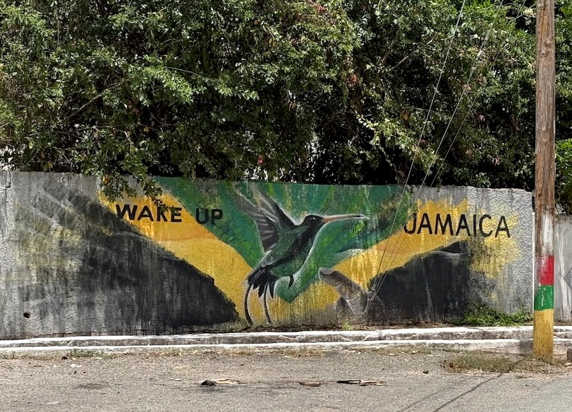 Holding Jamaica Accountable: A Call for Urgent Human Rights Reform