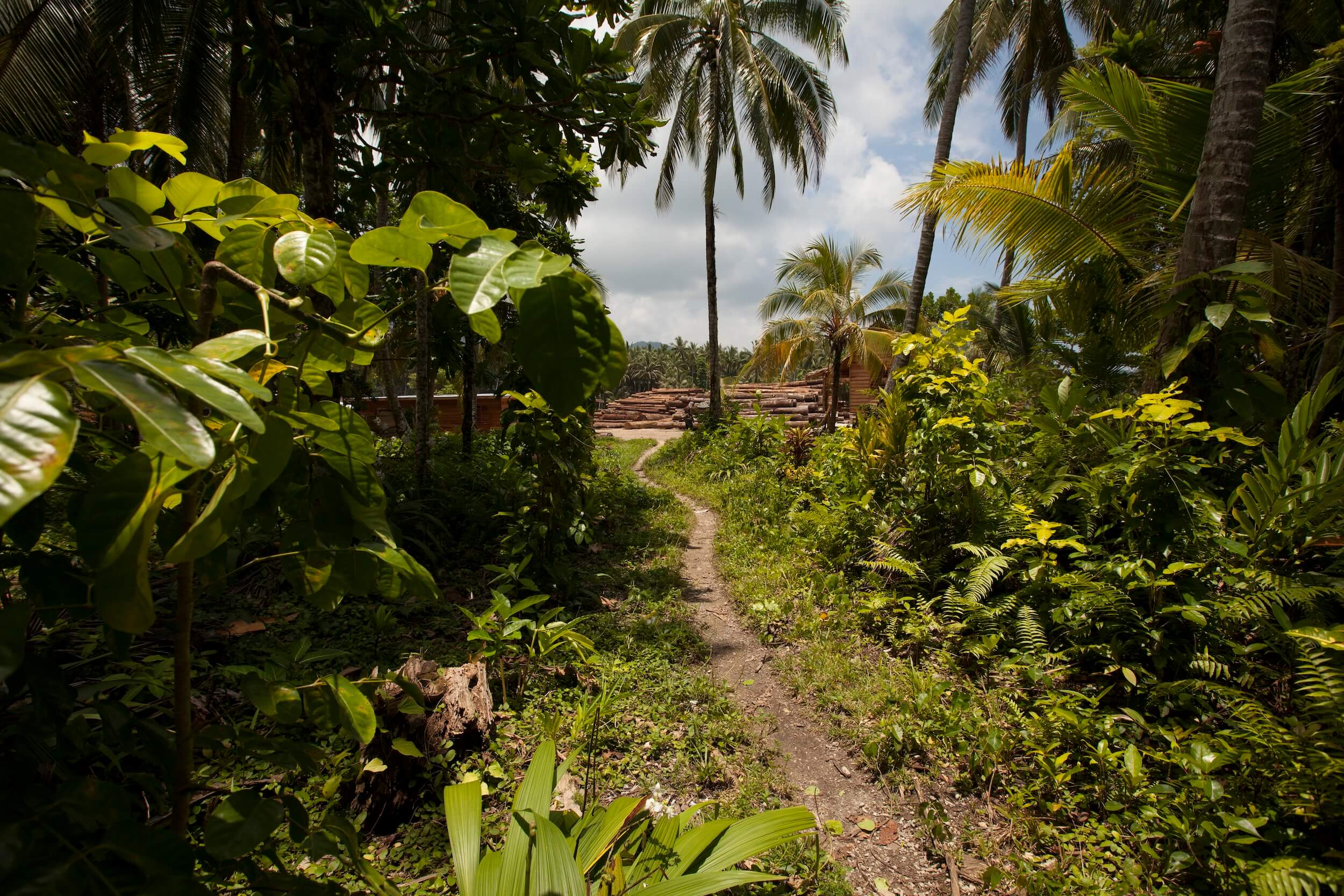 Walking_to_Logging_Camp