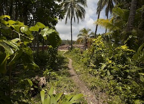New Toolkit Empowers Communities Against Extractives Industry Harm